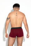 Essentials Burgundy Trunk