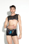 Studio Mesh Crop Top